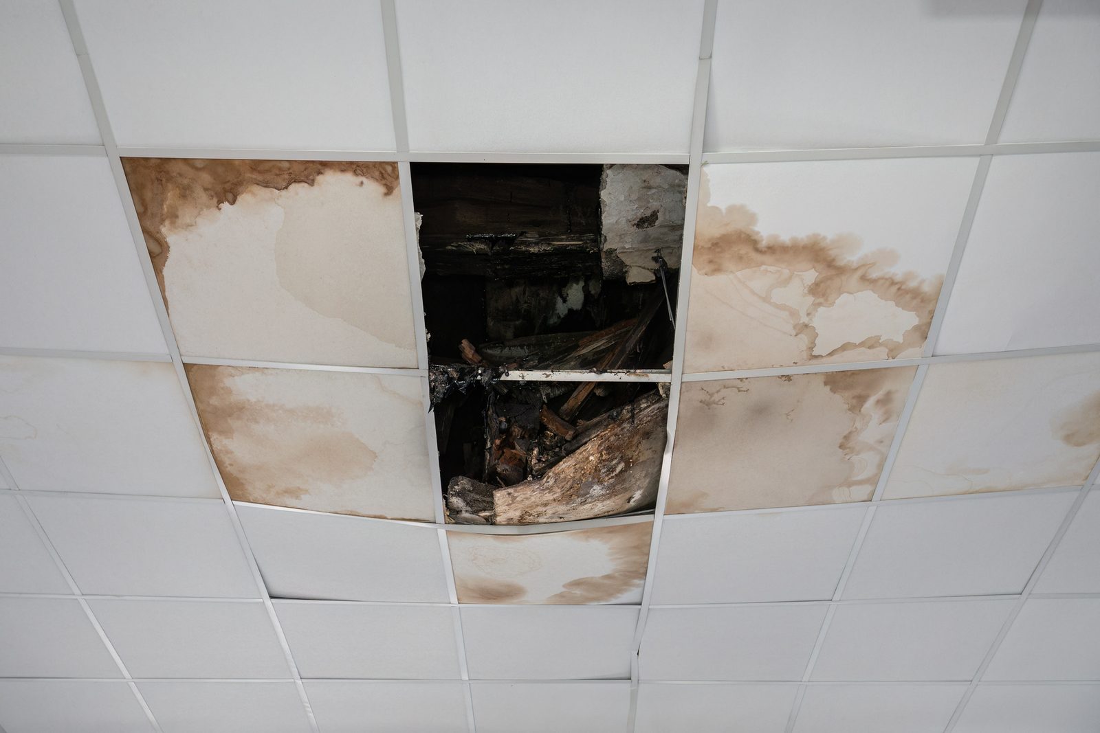 Stained and collapsed ceiling tiles after a water leak
